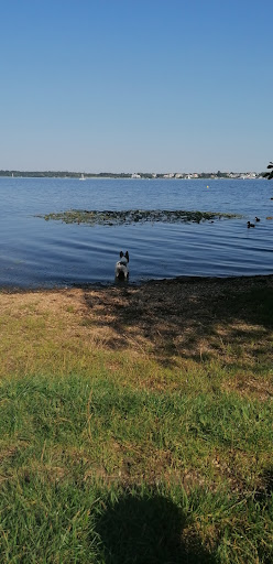Parkplatz / Wohnmobilplatz am Elsterstausee - Thumbnail