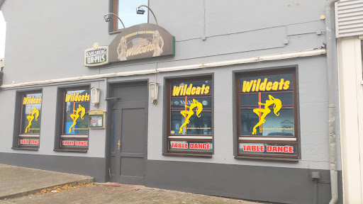 Wild Cats Tabledance Bar - Thumbnail