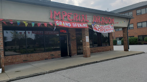 Imperial Dragon - Visual