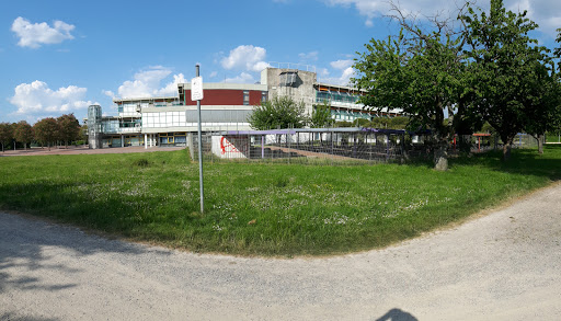 Albertus-Magnus-Gymnasium Ettlingen - Thumbnail