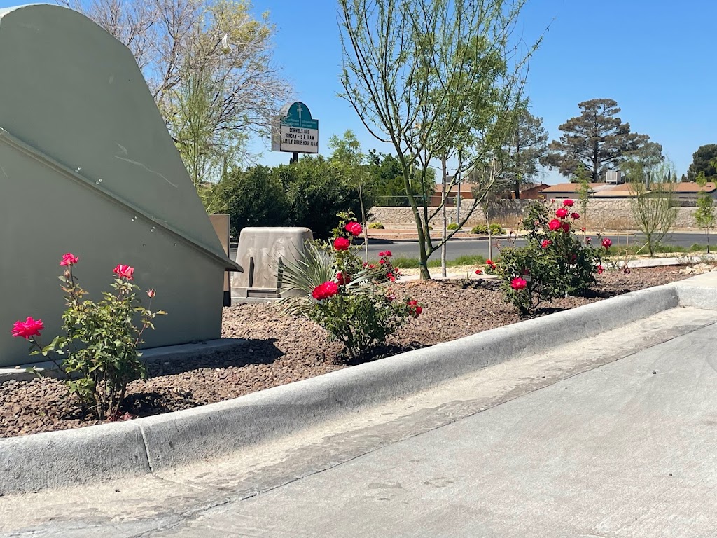 Vibhash Kumar Md Pediatric And Fetal Cardiologist