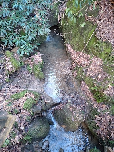 Yahoo Falls Overlook