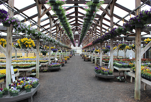 Longfellow's Greenhouses - Thumbnail