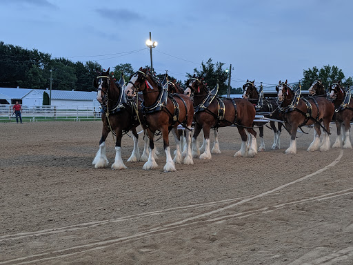 Hancock County Fairgrounds - Visual