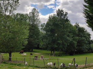 Photo n°8 de Poppy & Co à Saint-Julien-du-Puy (Service d'accueil pour les jeunes)