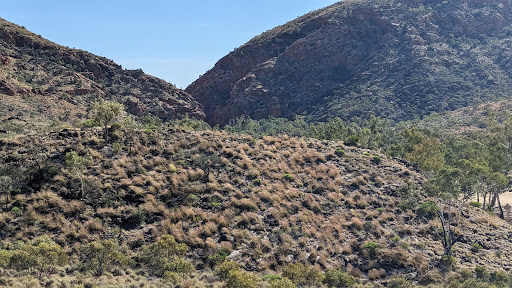 Ellery Creek Campground - Thumbnail