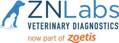 ZNLabs Boise