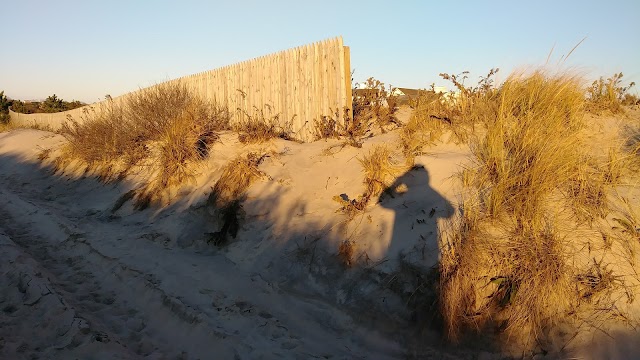 Halsey Neck Beach