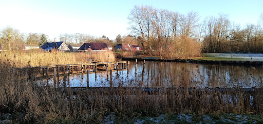 Aanlegplek Bellingwolde Veendiep - Thumbnail