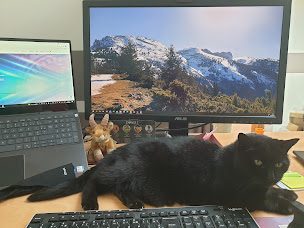 Photo n°6 de Ekleia à Oyeu (Agence de marketing)