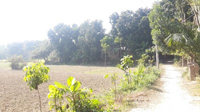 Photos of Baburchar Bazar