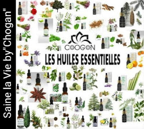 Photo n°5 de Saine la Vie by 