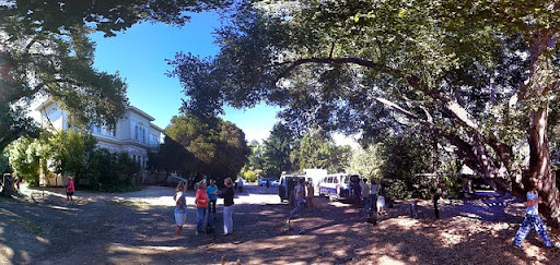 The Peninsula School - Thumbnail