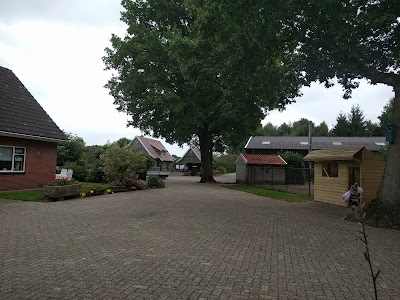 Photos of the Bergboer