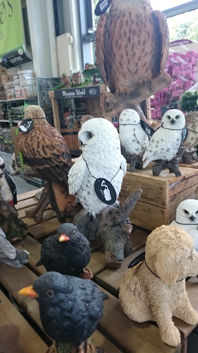 Photos of jam - Cork