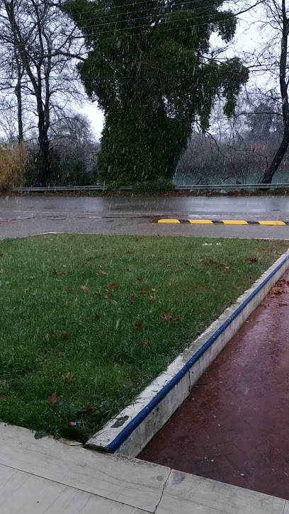 ΠΟΛΥΚΑΤΑΣΤΗΜΑ ΣΩΛΟΣ