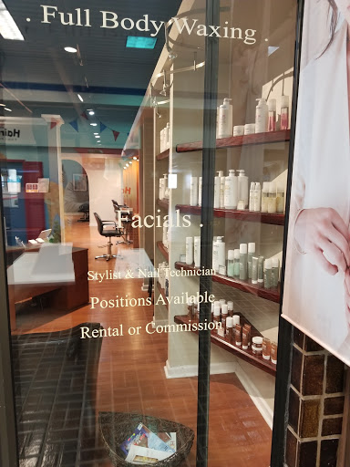 Thomas Austen Salon - Thumbnail