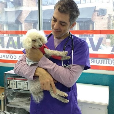 Photos of Planeta Veterinario