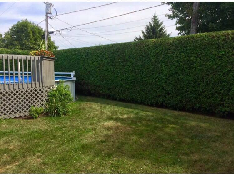 DUTOIT PARCS et JARDINS -taille de haies-élagage-tonte de pelouse-Lens-Arras-Hénin Beaumont et environs