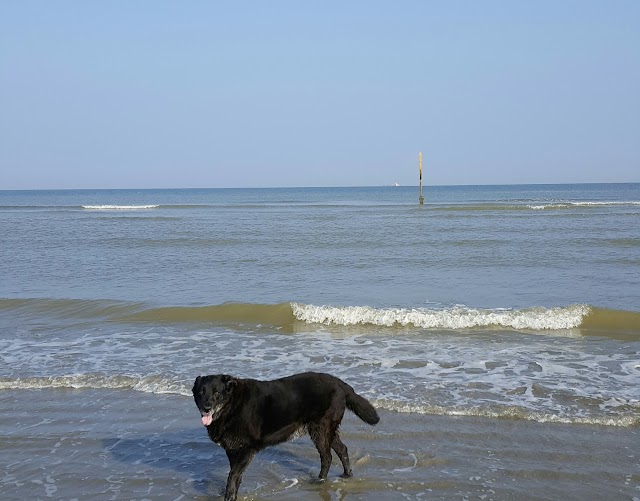 Dune du Perroquet