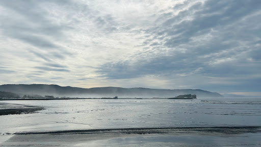 Beachfront Park - Visual