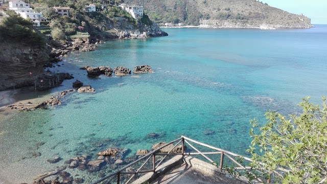 Palinuro
