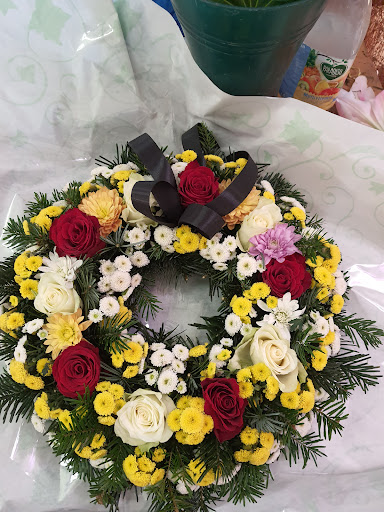 Blumen Thao-Anh - Thumbnail