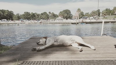 Photos of Weeki Wachee The Kayak Shack