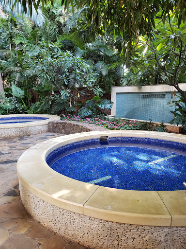 Laniwai Spa Logo
