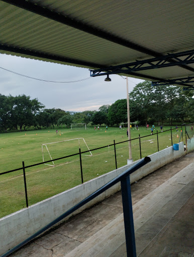 Adolfo Stadium - Thumbnail