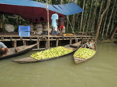 Photos of Kuriana Vadranka Floating Market