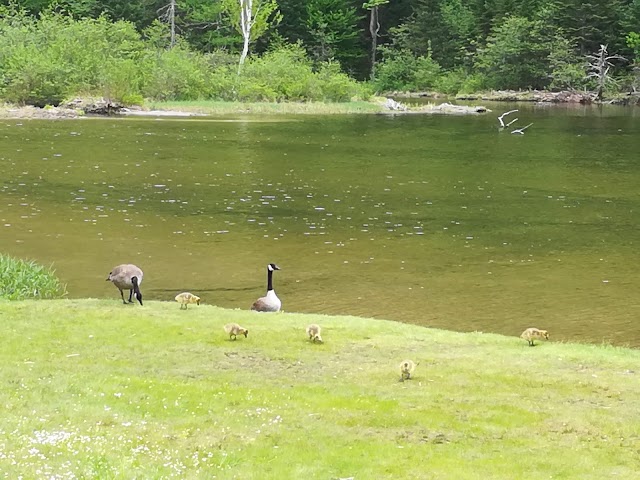 Crawford Notch State Park