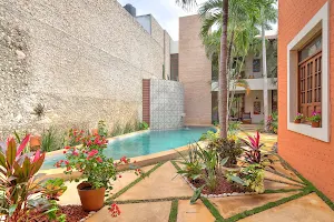 Burro y Flauta Vacation Rentals image
