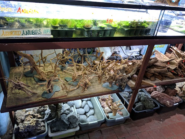 Pacific Aquarium & Plant Inc