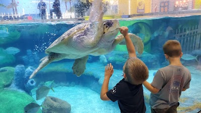 Oklahoma Aquarium