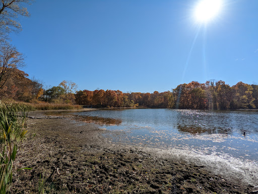 Maybury State Park Gallery - United States