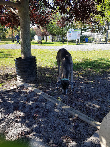 Parc Celanese - Visual