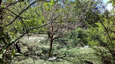 Photos of Payambare Azam Park