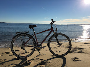 Photo n°8 de NICE BIKE KERLING LE PORGE à Le Porge (Magasin de vélos d'occasion)