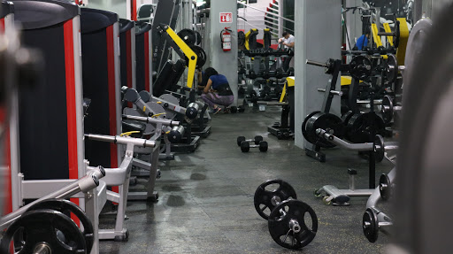 Itro Gym - Visual
