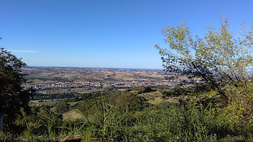 Parco Colle Celeste - Visual