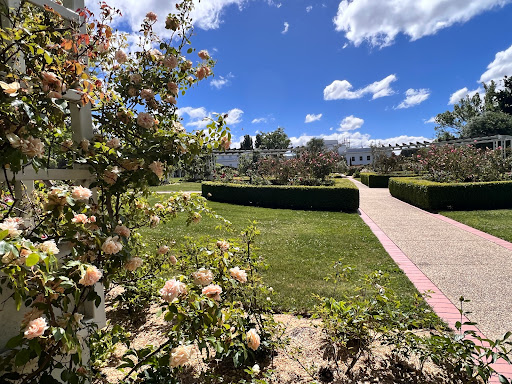 The Macarthur Rose Garden