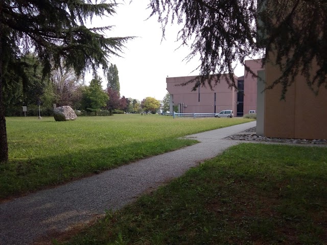 University of Udine - Scientific Pole Rizzi