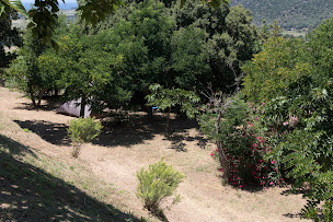 Photo n°20 de Camping Les Couchants à Casaglione (Agence de location de chalets)