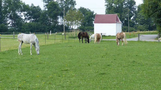 Karin Gailer Reitunterricht & Reittherapie Scheuringerstraße 6c, 86916 Kaufering, Deutschland