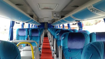 Photos of Coletivo Transpenha Ltda