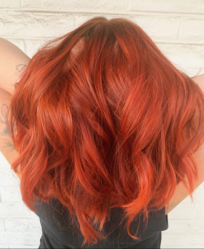 Evans and Co. Salon - Thumbnail