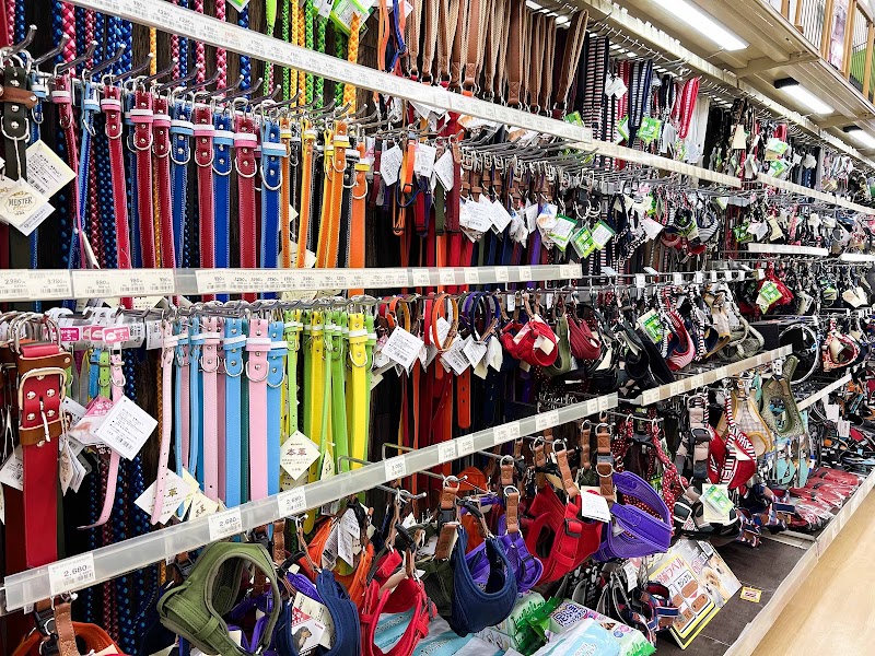 ジョイフル本田 市原店 ペットセンター