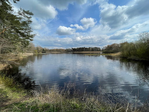 Parkplatz am Würmsee - Thumbnail