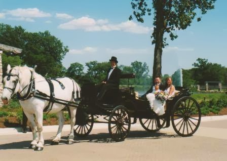 Buggies and Things Horse Drawn Carriage Service